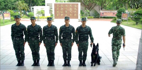 利刃出击第9集剧照