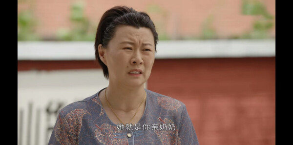 乡村爱情15第35集剧照