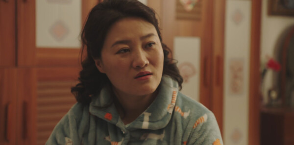 乡村爱情16第5集剧照